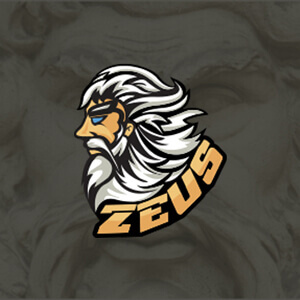 1495277694-zeus