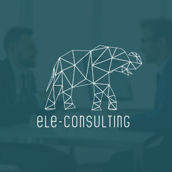 1497939397-ele-consulting